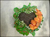 www.floristic.ru - .  .