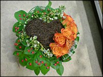 www.floristic.ru - .  .