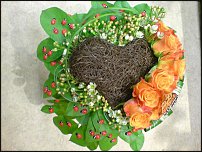 www.floristic.ru - .   