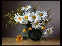 www.floristic.ru - . , ,     