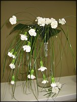 www.floristic.ru - . 