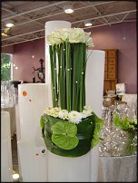 www.floristic.ru - . Gary Loen -  