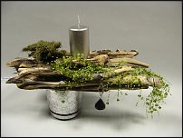 www.floristic.ru - .  .