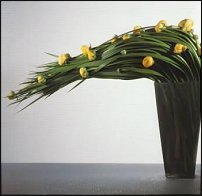 www.floristic.ru - . Pim van den Akker