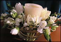 www.floristic.ru - .  .