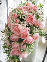 www.floristic.ru - .  .