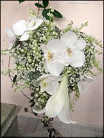 www.floristic.ru - .  .