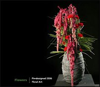 www.floristic.ru - . Pim van den Akker