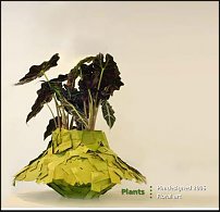 www.floristic.ru - . Pim van den Akker