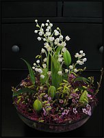 www.floristic.ru - .  