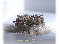 www.floristic.ru - . Pim van den Akker