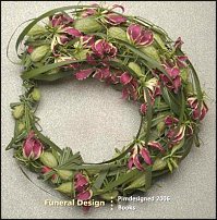 www.floristic.ru - . Pim van den Akker