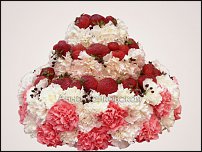 www.floristic.ru - . 