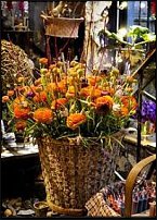 www.floristic.ru - . Tage Andersen