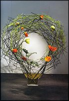 www.floristic.ru - . 