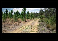 www.floristic.ru - . Land Art