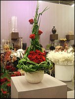 www.floristic.ru - . Pim van den Akker