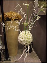 www.floristic.ru - . Pim van den Akker