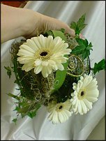 www.floristic.ru - .  .