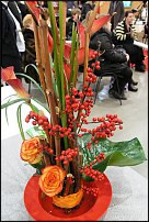 www.floristic.ru - . -   " " .02.02.2010