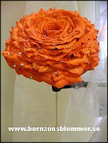 www.floristic.ru - .  .