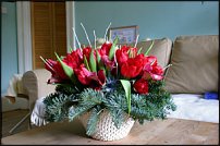 www.floristic.ru - .   .