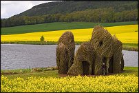 www.floristic.ru - . Land Art