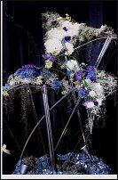 www.floristic.ru - .      "-", 