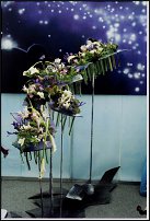 www.floristic.ru - .      "-", 