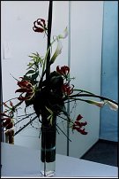 www.floristic.ru - .      "-", 