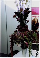www.floristic.ru - .      "-", 