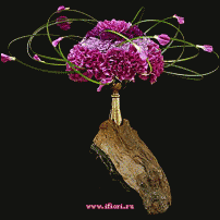 www.floristic.ru - . 