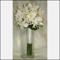 www.floristic.ru - . (Eucharis) -  .