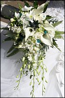 www.floristic.ru - Флористика. Эухарис(Eucharis) - амазонская лилия.