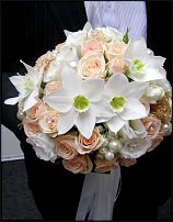 www.floristic.ru - Флористика. Эухарис(Eucharis) - амазонская лилия.