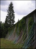 www.floristic.ru - . Land Art