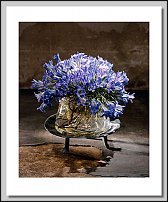 www.floristic.ru - . Tage Andersen