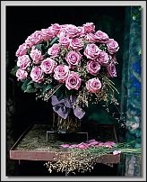 www.floristic.ru - . Tage Andersen