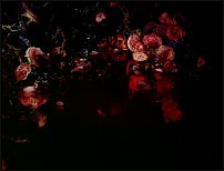 www.floristic.ru - .   