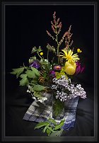 www.floristic.ru - .   ?