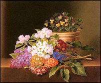 www.floristic.ru - .  :)