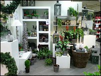 www.floristic.ru - .       - ?