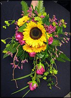 www.floristic.ru - . 