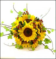 www.floristic.ru - . 