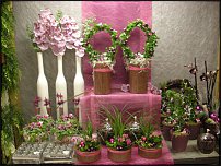 www.floristic.ru - .       - ?