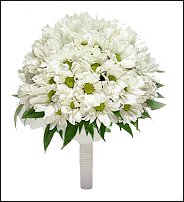 www.floristic.ru - . "Just Chrysanthemum"  )