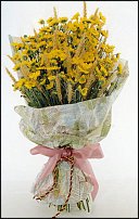 www.floristic.ru - . "Just Chrysanthemum"  )