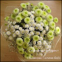 www.floristic.ru - . "Just Chrysanthemum"  )