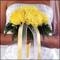 www.floristic.ru - . "Just Chrysanthemum"  )