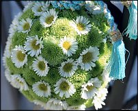 www.floristic.ru - . "Just Chrysanthemum"  )